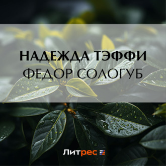 Обложка книги «Федор Сологуб»