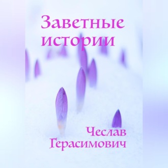 Обложка книги «Заветные истории»