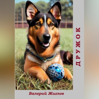 Обложка книги «Дружок»