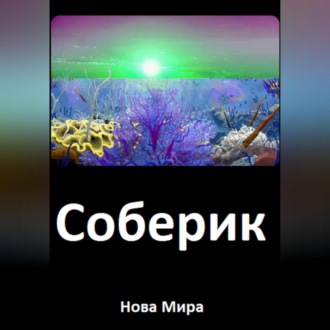 Обложка книги «Соберик»