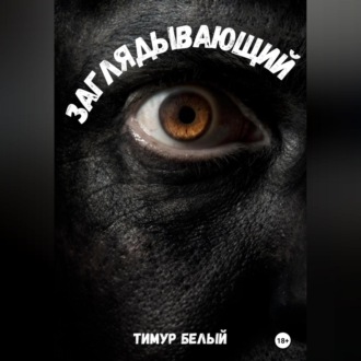 Обложка книги «Заглядывающий»
