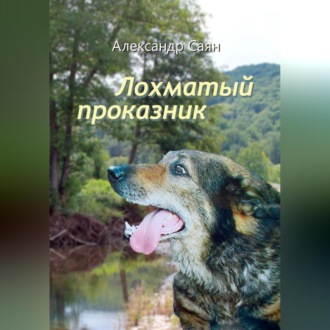 Обложка книги «Лохматый проказник»