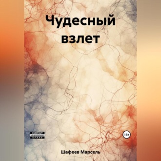 Обложка книги «Чудесный взлет»