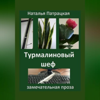 Обложка книги «Турмалиновый шеф»