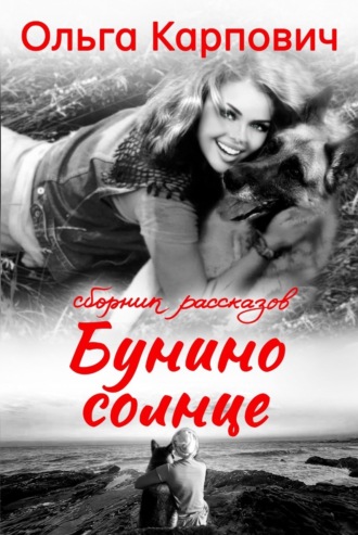 Обложка книги «Бунино солнце»