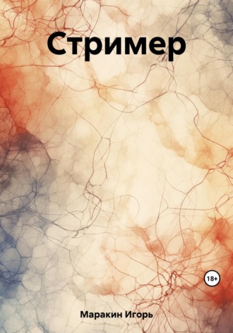 Обложка книги «Стример»