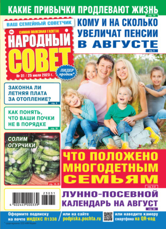 Обложка книги «Народный совет №31/2023»