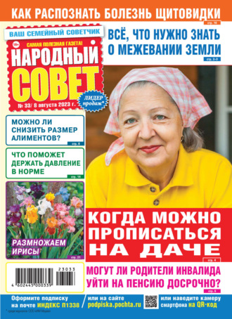 Обложка книги «Народный совет №33/2023»