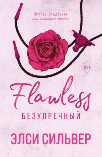 Обложка книги «Безупречный»