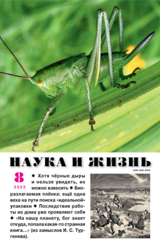 Обложка книги «Наука и жизнь №08/2023»