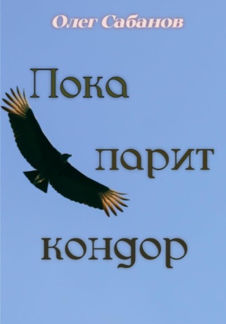 Обложка книги «Пока парит кондор»