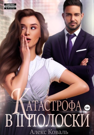 Обложка книги «Катастрофа в две полоски»