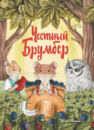 Обложка книги «Честный Брумбер»