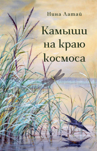Обложка книги «Камыши на краю космоса»