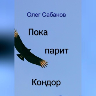 Обложка книги «Пока парит кондор»