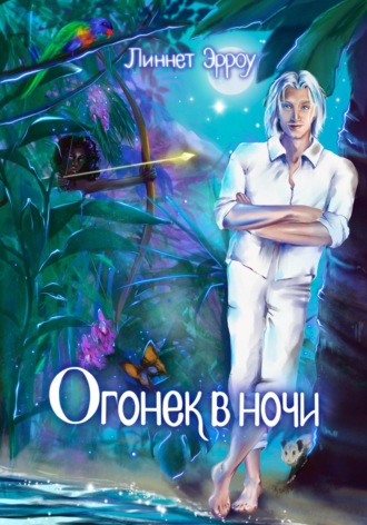 Обложка книги «Огонек в ночи»