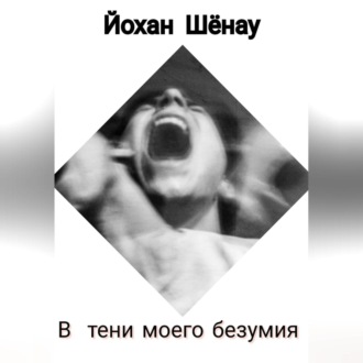 Обложка книги «В тени моего безумия»