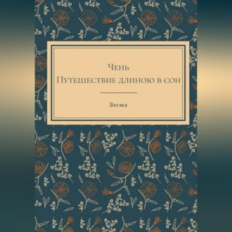 Обложка книги «Путешественница Чень»