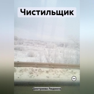 Обложка книги «Чистильщик»