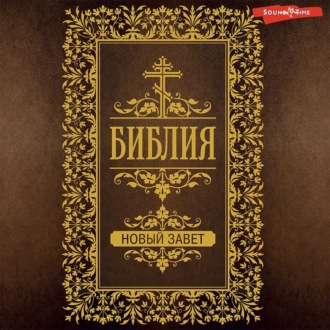 Обложка книги «Библия. Новый завет (Евангелия)»