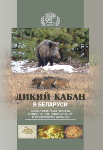 Обложка книги «Дикий кабан в Беларуси. Биоэкологические аспекты, хозяйственное использование и профилактика болезней»
