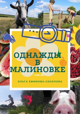 Обложка книги «Однажды в Малиновке»