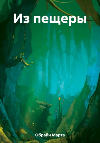 Обложка книги «Из пещеры»