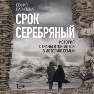Обложка книги «Срок серебряный»