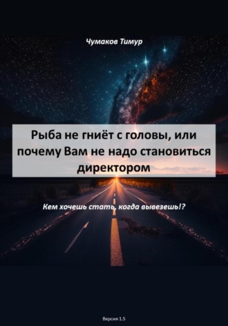 Тимур Чумаков. Рыба не гниёт с головы, или почему Вам не надо становиться директором