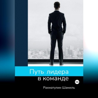 Обложка книги «Путь лидера в команде»