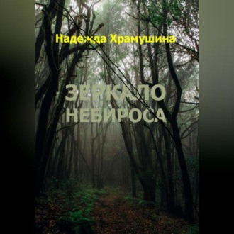 Обложка книги «Зеркало Небироса»