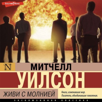 Обложка книги «Живи с молнией»