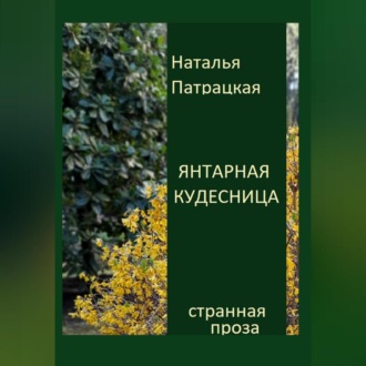 Обложка книги «Янтарная кудесница»