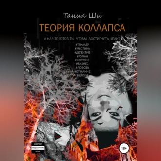 Обложка книги «Теория коллапса»