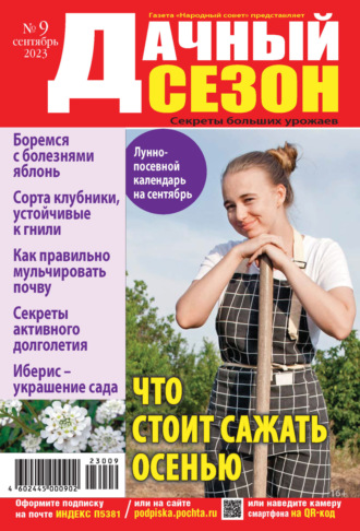 Обложка книги «Дачный сезон №09/2023»