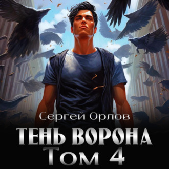 Обложка книги «Тень Ворона – 4»