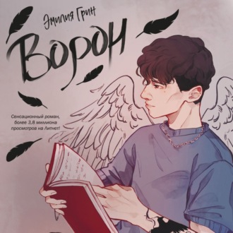 Обложка книги «Ворон»