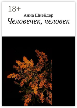 Обложка книги «Человечек, человек»
