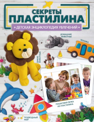 Обложка книги «Секреты пластилина»
