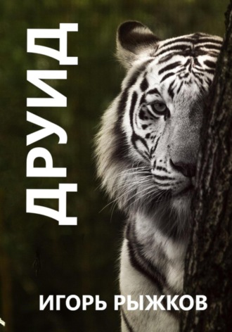 Обложка книги «Друид»