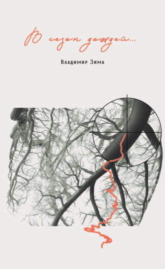Обложка книги «В сезон дождей…»