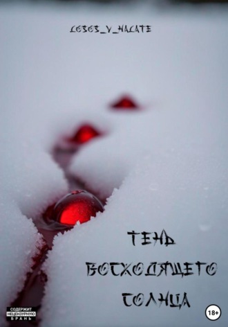 Обложка книги «Тень восходящего солнца»