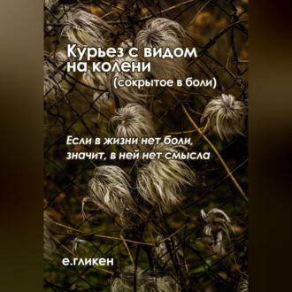 Обложка книги «Курьез с видом на колени (сокрытое в боли)»