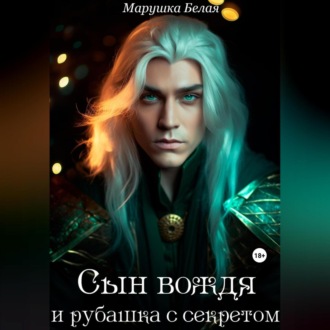 Обложка книги «Сын вождя и рубашка с секретом»