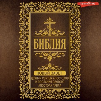Обложка книги «Библия. Новый Завет. Деяния святых апостолов и послания святого апостола Павла»
