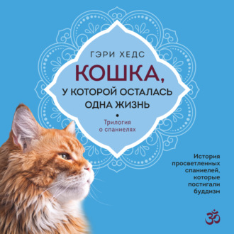 Обложка книги «Кошка, у которой осталась одна жизнь»