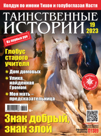 Обложка книги «Таинственные истории №19/2023»