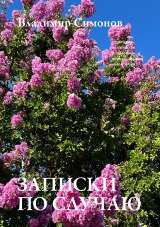 Обложка книги «Записки по cлучаю. Серия книг поэтической философии миропонимания новой эпохи»
