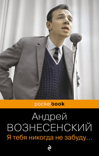 Андрей Вознесенский. Я тебя никогда не забуду…