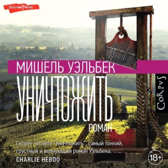 Обложка книги «Уничтожить»